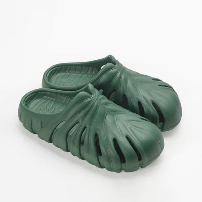 Pantufla Monstera Deliciosa